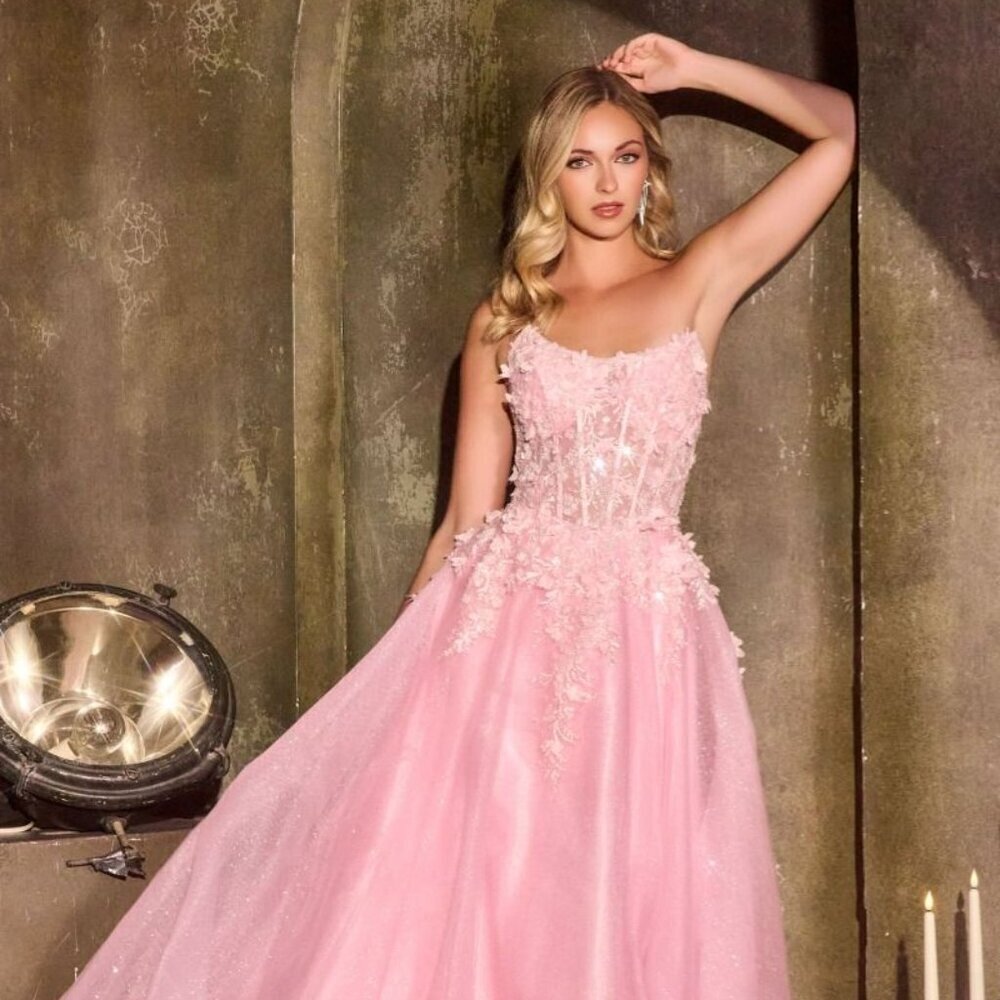 New Pink Floral Applqiue Embellished Maxi Prom Gown w/ Corset Bodice CD C174